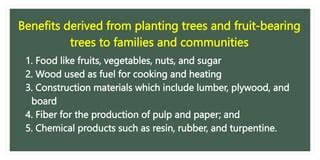 Importance Of Planting And Propagating Trees And Fruit