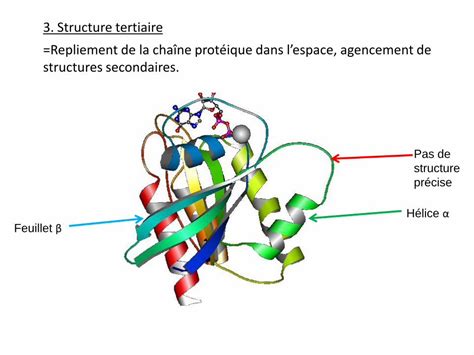 PDF Biologie Moléculaire Propriétés ioniques des acides