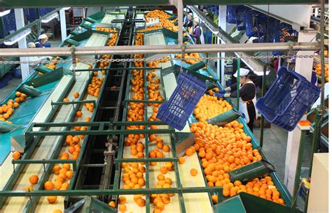 Andalucía abre las ayudas a las Organizaciones de Productores de Frutas