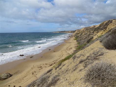 Reef Point Beach At Crystal Cove State Park In Laguna Beach Ca