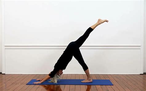 One-Legged Downward Facing Dog Pose (Eka Pada Adho Mukha Svanasana) | Iyengar Yoga