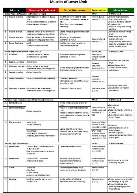 Muscle Advance III (anaisfun) - Muscles of Lower Limb Muscle Proximal ...