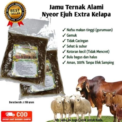 Jual Jamu Sapi Nyeor Ejuh Jamu Tradisional Sangat Cocok Untuk Segala