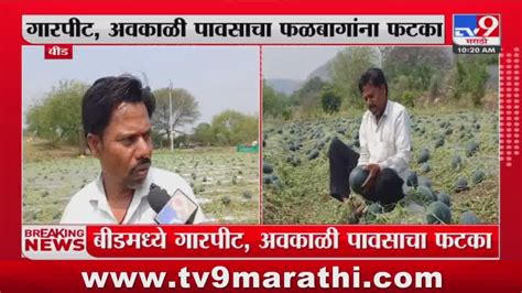 Beed Crop Loss बीडमध्ये गारपीटीसह अवकाळीचा तडाखा फळबागांचं मोठं नुकसान Youtube