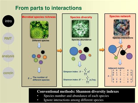 Ppt Molecular Ecological Network Analyses Mena Powerpoint