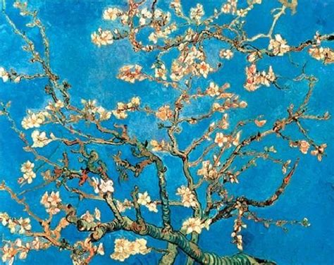 Art Print Almond Blossom The Blossoming Almond Tree Vincent