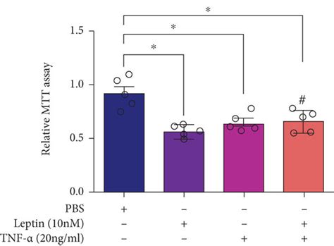 Tnf α Antagonized The Effects Of Leptin On The Proliferation Of Ins 1e Download Scientific