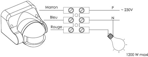 Comment Fonctionne Un D Tecteur De Mouvement Ext Rieur