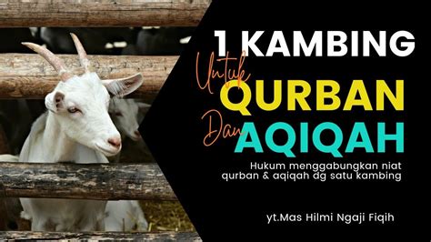 Hukum Menggabungkan Niat Qurban Dengan Aqiqah Tata Cara Menyembelih