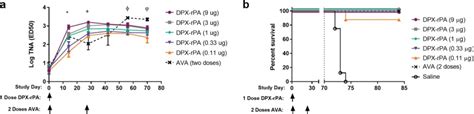 Single Dose Of DPX RPA An Enhanced Delivery Anthrax Vaccine