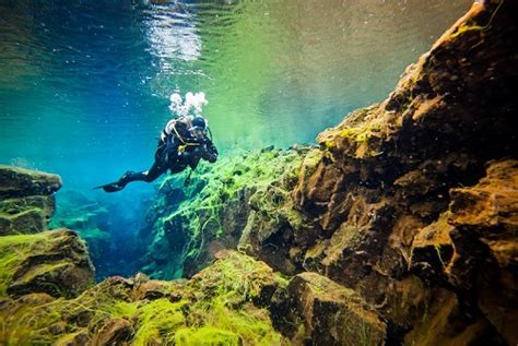 Bucear En Silfra Visitar La Cueva De Hielo Y Avistar Ballenas Las Nuevas Propuestas De Island