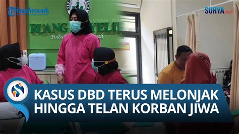 Tingginya Kasus Demam Berdarah Di Tuban Harus Diwaspadai Sudah Empat