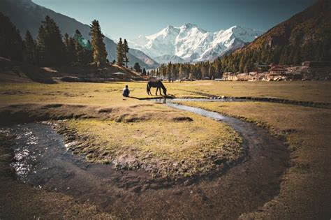 Premium Photo Beautiful View Of Nanga Parbat Mountain Pasture At