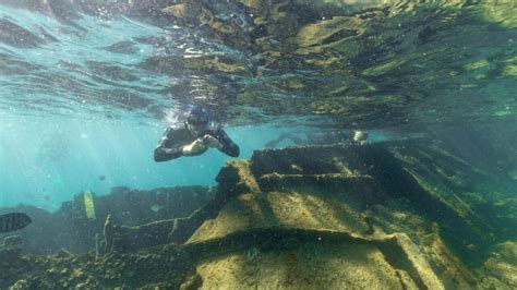 Tangalooma Wrecks Snorkel Tour From Sandstone Point Redcliffe