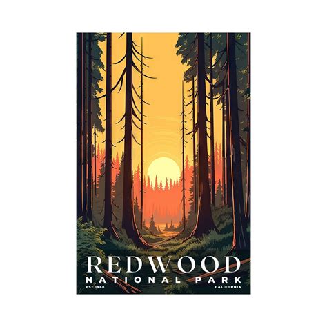 Redwood National And State Parks Poster Travel Art Office Poster