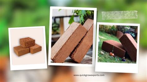 Coco Peat Kg Blocks Exploring The Benefits Quick Grow Exports