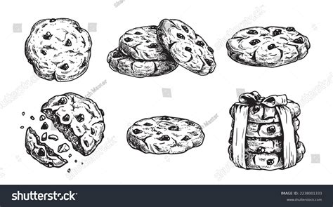 48901 Biscotti Sketch Royalty Free Images Stock Photos And Pictures