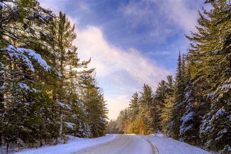 Winter Scenery Stock Images - Download 279,745 Royalty Free Photos