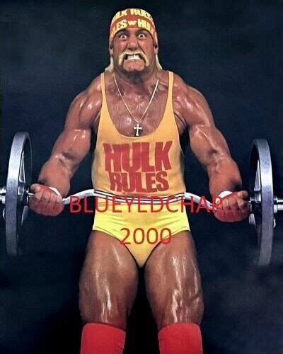 HULK HOGAN WRESTLER 8 X 10 WRESTLING PHOTO WWF WCW | #4583661567