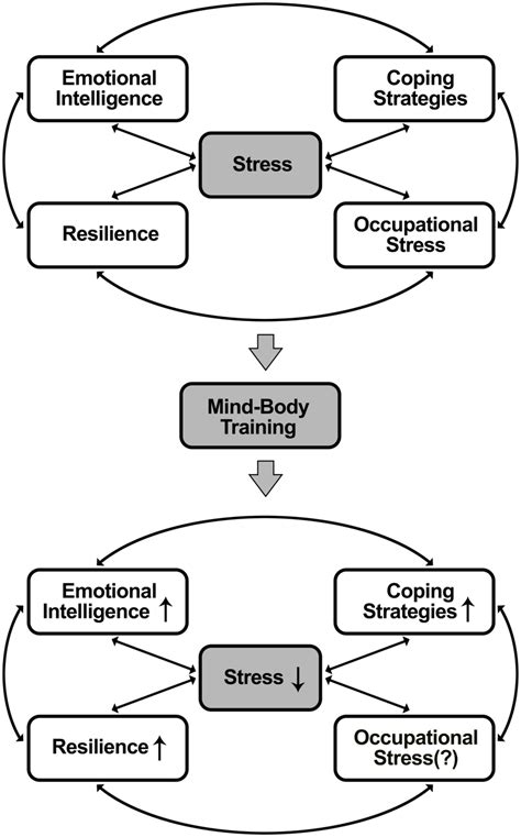 Proposed Model Of The Effects Of Mbt On Perceived Stress Coping