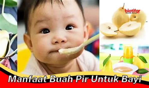 Temukan Manfaat L Bio Untuk Bayi Diare Yang Jarang Diketahui Biotifor