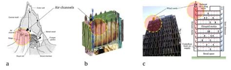 The Biomimetic Concept Of The CH2 Building Skin A Termite Mounds