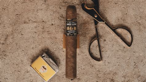 25 Interesting And Surprising Facts About Cigars Smokio Store