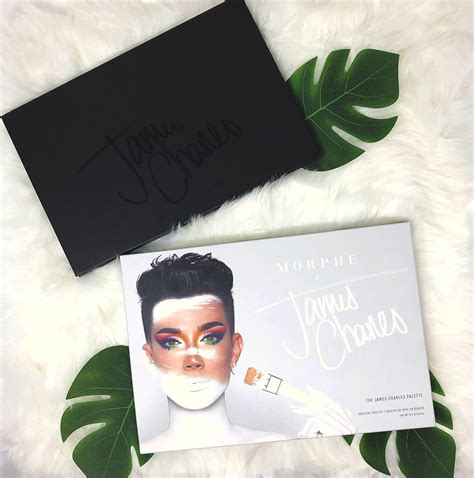 Review The James Charles Palette By Morphe Unleash Your Inner Artist