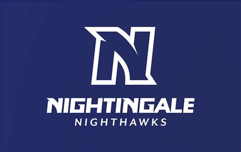 Nightingale Nighthawk Wordmark By Chris Robinson On Dribbble