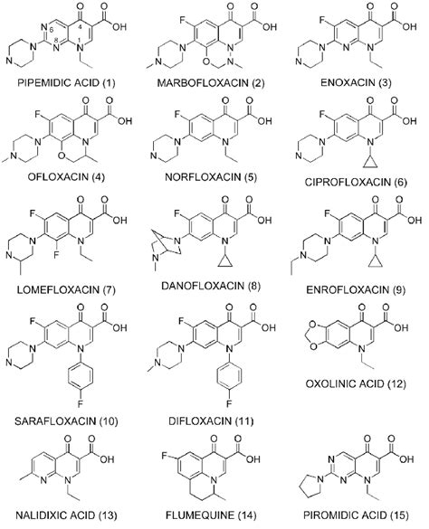 Chemical Structures Of The Investigated Quinolones Download Scientific Diagram