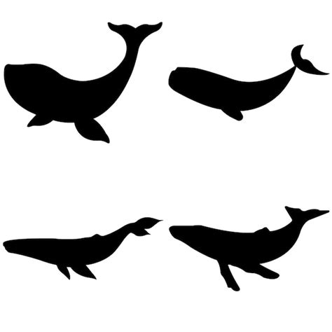 Premium Vector | Whale silhouette