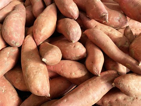 What Happens To Your Body If You Eat Sweet Potatoes Every Day Parade