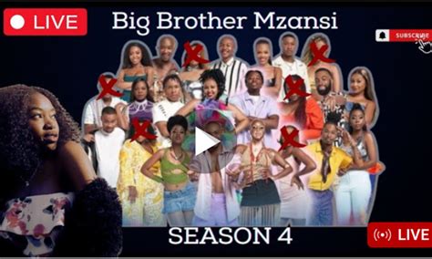 Big Brother Mzansi Streaming Live Now Watch Mzansi