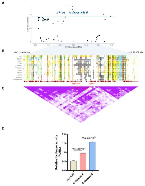 Biomolecules Free Full Text Differential Regulation Of Male