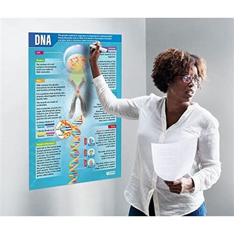 Dna Science Posters Gloss Paper Measuring 850mm X 594mm A1 Science Charts For The Classroom