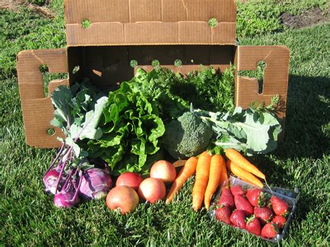 Community Supported Agriculture Csa What Is In It For Me Live