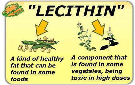 Difference Between Lecithin And Choline Difference Between Off