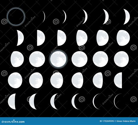 28 Different Lunar Phases Complete Moon Satellite Cycle Stock