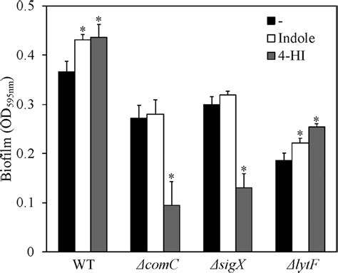 Biofilm assay for quorum sensing mutants. Biofilm amounts of quorum ...