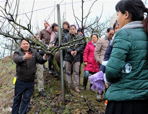 農民未來將面臨的這一大難題，一定要重視，不然你可能面臨失業 每日頭條