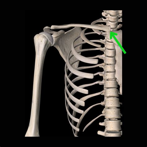 Best Shoulder Warm Up Exercises - The Game Plan Physical Therapy