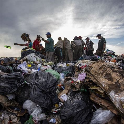 Vivir De La Basura