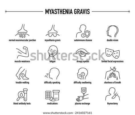 Myasthenia Gravis Symptoms Diagnostic Treatment Vector Stock Vector ...