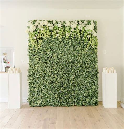 Greenery Wall Backdrop RENTAL ONLY Ventura County Backdrop | Etsy