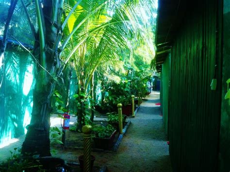 Tantra Beach Shack And Hut Goa Rooms Rates Photos Reviews Deals Contact No And Map