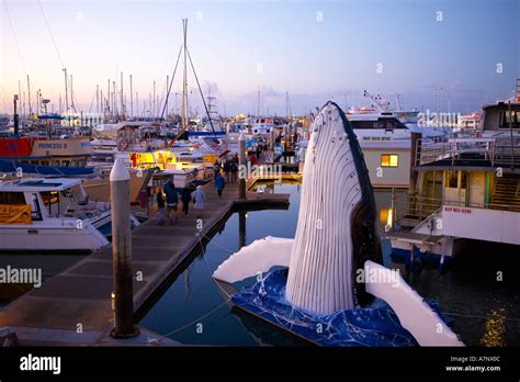 Hervey Bay Tourism Queensland Australia Stock Photo Alamy