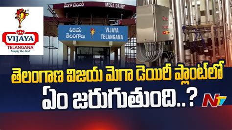 Explained Vijaya Telangana Mega Dairy Plant Working Process Ntv