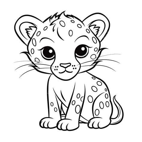 cute leopard coloring pages  kids outline sketch drawing vector
