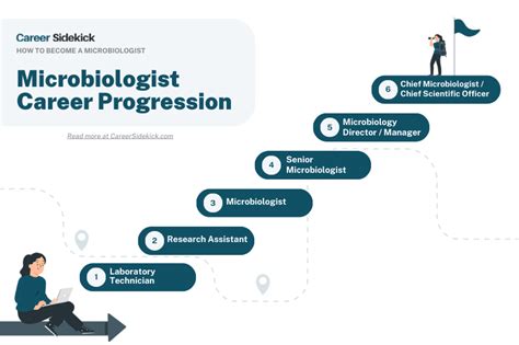 How to Become a Microbiologist – Career Sidekick