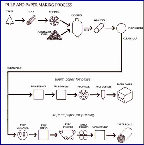 The Diagram Gives Information About The Process For Making Pulp And Paper Ielts Fever